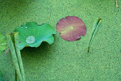 乐队管理游戏《Rockbeasts》公布最新实机预告片